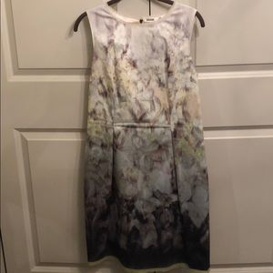Fab Elie Tahari shift in neutral colors size 8